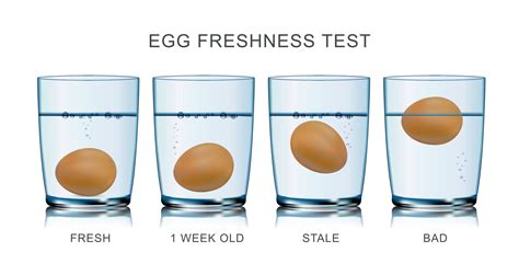 check fresh eggs for freshness.